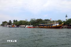 (Ảnh minh họa. Đỗ Trưởng/TTXVN)