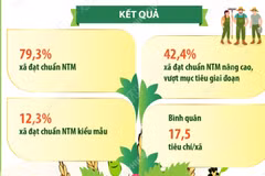 Kết quả nổi bật của phong trào “Cả nước chung sức xây dựng nông thôn mới” 