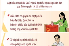 Bầu cử Quốc hội và Hội đồng nhân dân: Nguyên tắc bỏ phiếu