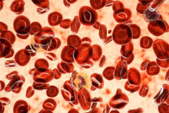 Ảnh minh họa. (Ảnh: Getty images)