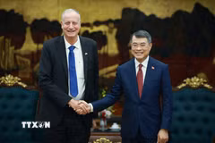 Thủ tướng Lê Minh Hưng tiếp Đại sứ Israel Yaron Mayer đến chào kết thúc nhiệm kỳ công tác. (Ảnh: Dương Giang/TTXVN)