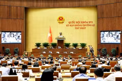 Quang cảnh phiên họp. (Ảnh: Doãn Tấn/TTXVN)