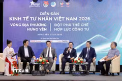 Các đại biểu thảo luận tại diễn đàn. (Ảnh: Thế Duyệt/TTXVN)