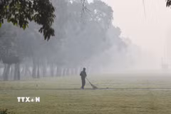 Ô nhiễm không khí nghiêm trọng tại New Delhi, Ấn Độ. (Ảnh: ANI/TTXVN)
