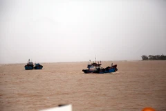 Huy động tàu cá tổ chức tìm kiếm các nạn nhân mất tích trên hai tàu cá bị chìm. (Ảnh: Tá Chuyên/TTXVN)