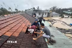 Lũ dâng cao, người dân phải phá mái nhà leo lên để tránh nguy hiểm. (Ảnh: TTXVN phát)
