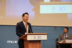 Đại sứ Mai Phan Dũng. (Ảnh: Anh Hiển/TTXVN)