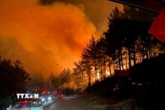 Cháy rừng tại tỉnh Canakkale, Tây Bắc Thổ Nhĩ Kỳ. (Ảnh: THX/TTXVN)