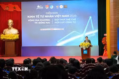Ông Đặng Hồng Anh - Phó Chủ tịch Hội Liên hiệp Thanh niên Việt Nam, Chủ tịch Hội Doanh nhân trẻ Việt Nam phát biểu tại Diễn đàn. (Ảnh: Sỹ Tuyên/TTXVN)