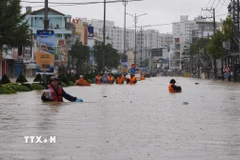Mưa lũ hồi tháng 11 gây ngập sâu trên đường 23 tháng 10 phường Tây Nha Trang (Khánh Hòa). (Ảnh: Nguyễn Thành/TTXVN)