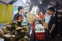 Các hoạt động lễ hội thu hút rất đông du khách đến với Cần Thơ. (Ảnh: Nguyễn Hằng/TTXVN)
