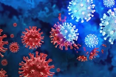 Virus SARS-CoV-2. (Ảnh: Getty Images)