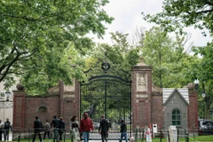 Khuôn viên Đại học Harvard ở Cambridge, bang Massachusetts, Mỹ. (Ảnh: THX/TTXVN)