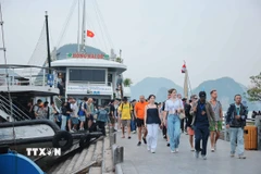 Quảng Ninh đón lượng lớn du khách tham quan, tìm hiểu vẻ đẹp tự nhiên của Vịnh Hạ Long. (Ảnh: Hoàng Hiếu/TTXVN)