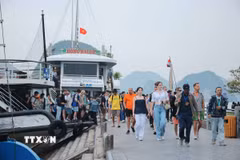 Quảng Ninh đón lượng lớn du khách tham quan, tìm hiểu vẻ đẹp tự nhiên của Vịnh Hạ Long. (Ảnh: Hoàng Hiếu/TTXVN)