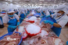 Dây chuyền chế biến thủy sản xuất khẩu. (Ảnh: Vũ Sinh/TTXVN)