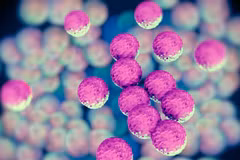 (Ảnh minh họa. Nguồn: healthcare)