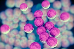 (Ảnh minh họa. Nguồn: healthcare)