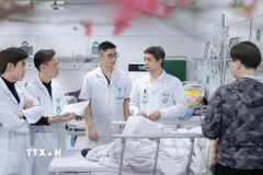 (Ảnh minh họa. Minh Quyết/TTXVN)