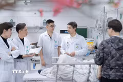 (Ảnh minh họa. Minh Quyết/TTXVN)