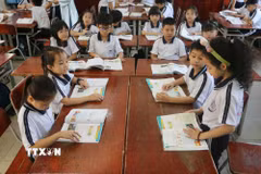 (Ảnh minh họa. Lê Xuân/TTXVN)