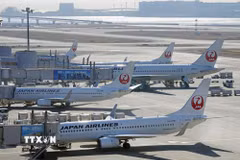 Máy bay của hãng hàng không Japan Airlines tại sân bay Haneda ở thủ đô Tokyo, Nhật Bản. (Ảnh: Kyodo/TTXVN)