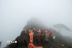 Lực lượng cứu hộ làm nhiệm vụ tại hiện trường vụ rơi máy bay ATR 42-500 thuộc Hãng hàng không Indonesia Air Transport (IAT) trên núi Bulusaraung, huyện Maros, tỉnh Nam Sulawesi, ngày 18/1/2026. (Ảnh: THX/TTXVN)