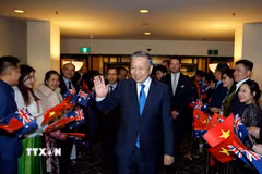 Cán bộ, nhân viên Đại sứ quán, cộng đồng người Việt Nam tại Australia đón Tổng Bí thư, Chủ tịch nước Tô Lâm. (Ảnh: Thống Nhất/TTXVN)