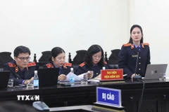 Đại diện Viện Kiểm sát khẳng định "Hàm lượng trong sữa giả vượt quá mức công bố không đồng nghĩa với tốt hơn”. (Ảnh: Kim Anh/TTXVN)