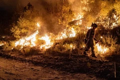 Cháy rừng ở Tây Ban Nha. (Ảnh: Belga)