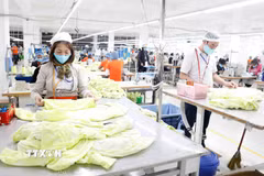 May hàng xuất khẩu sang thị trường Nhật Bản tại Công ty May Hưng Việt, Hưng Yên. (Ảnh: Trần Việt/TTXVN)