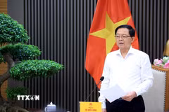 Phó Thủ tướng Hồ Quốc Dũng phát biểu. (Ảnh: Tuấn Anh/TTXVN)