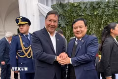 Đại sứ Bùi Văn Nghị chào xã giao Tổng thống Luis Alberto Arce. (Ảnh: TTXVN phát)