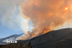 Khói bốc lên từ đám cháy rừng ở British Columbia, Canada. (Ảnh: THX/TTXVN)