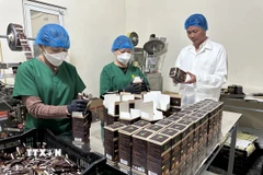 Hợp tác xã Nấm Tam Đảo đổi mới quy trình sản xuất, tham gia chương trình OCOP. (Ảnh: Nguyễn Thảo/TTXVN)