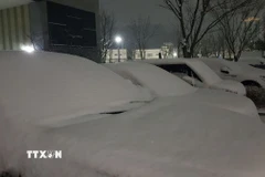 Tuyết rơi dày tại Daejeon, Hàn Quốc (Ảnh: Yonhap/TTXVN)