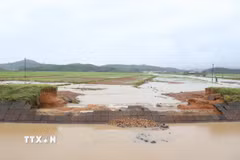 Để sớm khôi phục sản xuất cho người dân cần hoàn thành sửa chữa hệ thống kênh mương thủy lợi. (Ảnh: Tuấn Anh/TTXVN)