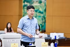 Thứ trưởng Bộ Tư pháp Nguyễn Thanh Tịnh. (Ảnh: Doãn Tấn/TTXVN)