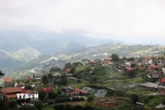 Toàn cảnh Colonia Tovar nhìn từ trên cao. Thị trấn nhỏ nổi bật giữa núi rừng xanh thẳm với những mái ngói đỏ đặc trưng. (Ảnh: Phi Hùng/TTXVN)