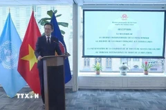 Đại sứ Đỗ Hùng Việt, Trưởng Phái đoàn thường trực Việt Nam tại Liên hợp quốc, phát biểu tại buổi tiếp tân. (Ảnh: Thanh Tuấn/TTXVN)