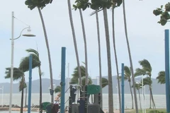 Bão đổ bộ gây gió mạnh. (Ảnh: 9News)