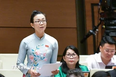 Đại biểu Quốc hội Trịnh Tú Anh phát biểu. (Ảnh: Phương Hoa/TTXVN)
