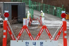 (Ảnh minh họa. Nguồn: Yonhap)