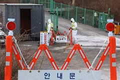(Ảnh minh họa. Nguồn: Yonhap)