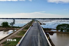 Sáng 19/12/2025, tại xã Vĩnh An, UBND tỉnh An Giang tổ chức Lễ thông xe kỹ thuật Dự án thành phần 1 thuộc Dự án đầu tư xây dựng đường bộ cao tốc Châu Đốc-Cần Thơ-Sóc Trăng giai đoạn 1. Đây là công trình giao thông trọng điểm chào mừng Đại hội đại biểu toàn quốc lần thứ XIV của Đảng và có ý nghĩa quan trọng trong kết nối vùng Đồng bằng sông Cửu Long. (Ảnh: Thanh Sang/TTXVN)