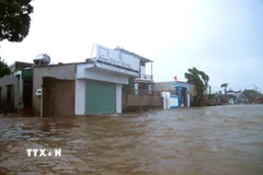 Nước biển dâng cao khiến tuyến đường qua nhiều xóm ven sông Ngọc Minh, Đông Lộc, Yên Thịnh (xã Diễn Châu, tỉnh Nghệ An) bị ngập nặng, người dân bị cô lập nhiều giờ đồng hồ. (Ảnh: Xuân Tiến/TTXVN)