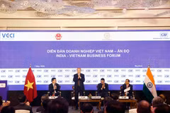Tổng Bí thư, Chủ tịch nước Tô Lâm dự Diễn đàn Doanh nghiệp Việt Nam-Ấn Độ. (Ảnh: Thống Nhất/TTXVN)