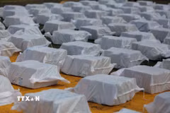 (Ảnh minh họa. AFP/TTXVN)