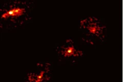 (Ảnh minh họa. Nguồn: phys.org)