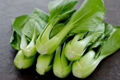 Cải ngọt là một trong những loại rau được sử dụng phổ biến nhất.